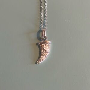 Sterling Silver and Crystal Horn Necklace.